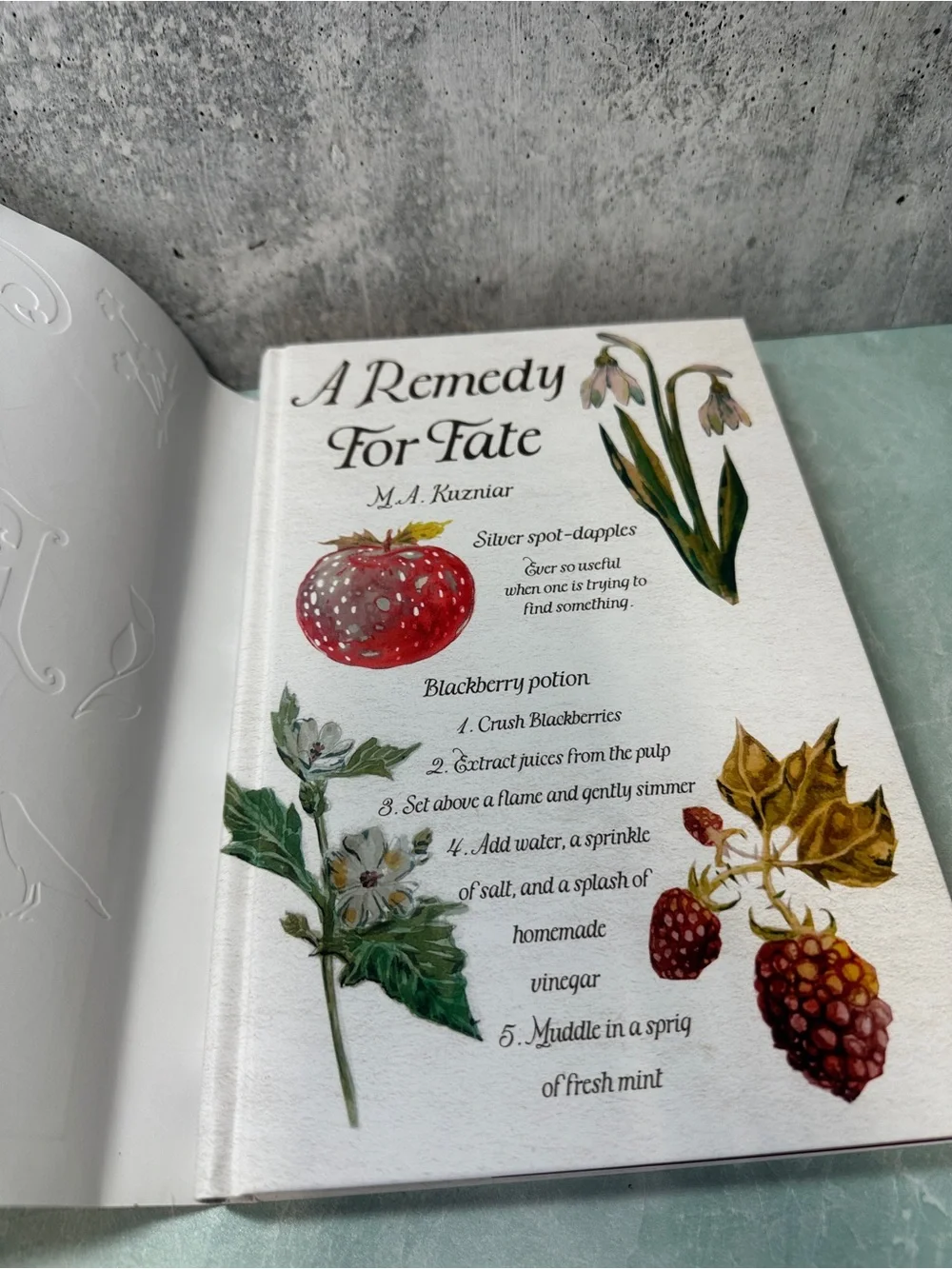 Lilac Library A Remedy For Fate M.A. Kuzniar Hardback Sprayed Edges